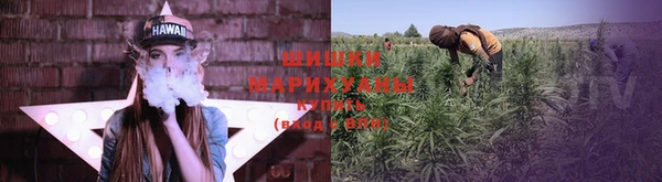 прущая мука Кодинск