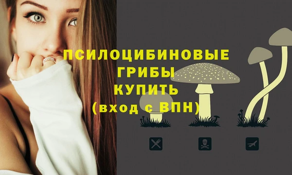 a pvp Козельск