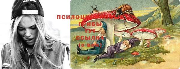 прущая мука Кодинск