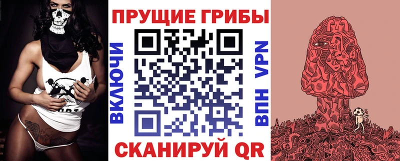 Купить где  Суворов  Псилоцибиновые грибы мухоморы 